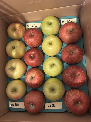 みんなの投稿の画像