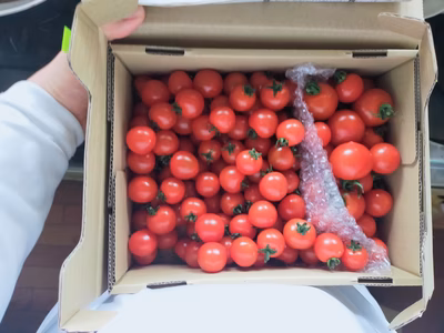 みんなの投稿の画像