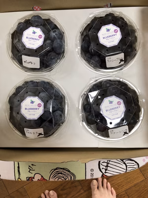 みんなの投稿の画像