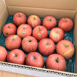 【家庭用】人気No.1！毎日食べたい！<サンふじ>