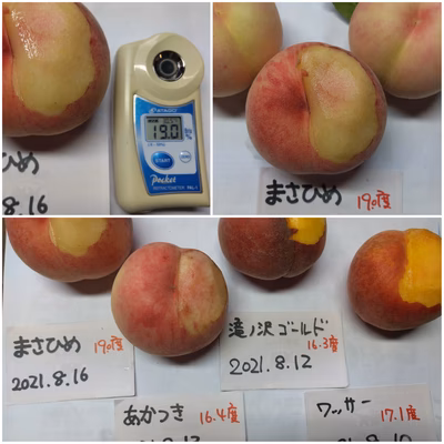 みんなの投稿の画像