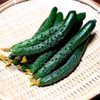 【天ぷら専用】しなやかきゅうり(ブルームきゅうり)｜5月発送