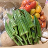 ♪送料クール込800円♪夏野菜　4品目【無農薬】地域限定