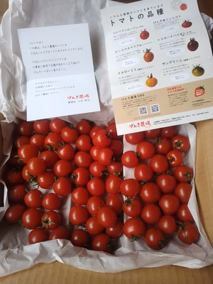 みんなの投稿の画像