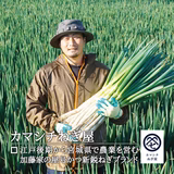 加藤真之 | カマシチ