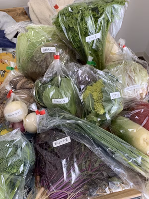 みんなの投稿の画像