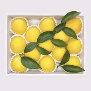 【数量限定】人気No.1 最上級 赤秀品 極上 プリンセス日向夏(種無し)13玉