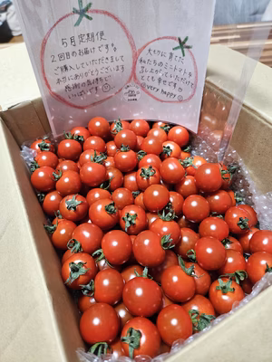 みんなの投稿の画像