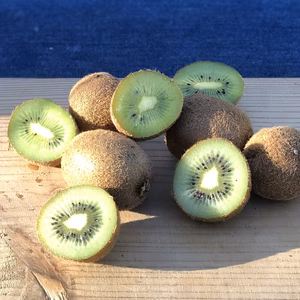 有機JAS認証 訳ありSS玉 無農薬 自然栽培キウイフルーツ
