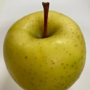 【先行予約】希少品種！星の金貨！果汁たっぷり小玉 4.5kg