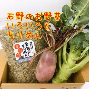 漁師お野菜セット？ブロッコリーと今日は紫大根　ちりめんお試し価格