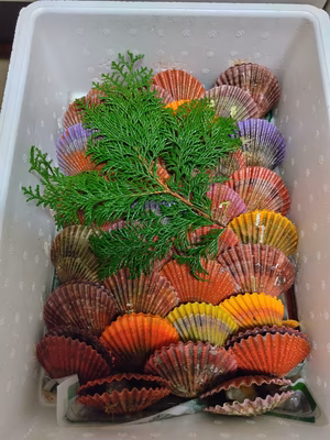 みんなの投稿の画像