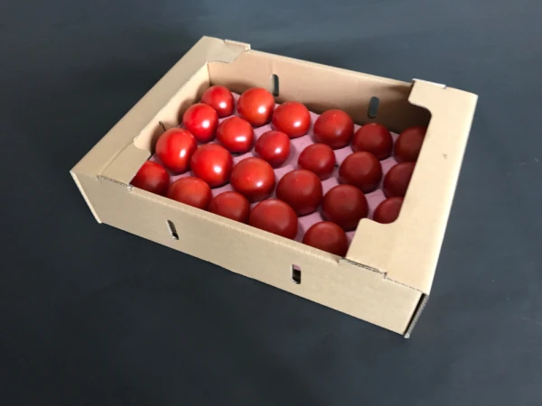 化学肥料・農薬完全不使用　高糖度トマト 1.6kg　安心安全　青森産
