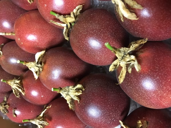 パッションフルーツ