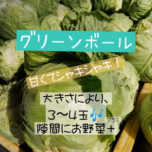 たっぷり、グリーンボール！