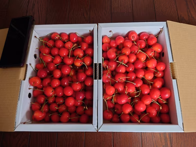 みんなの投稿の画像