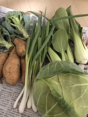 みんなの投稿の画像