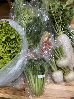 みんなの投稿の画像