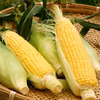 ※訳あり　とうもろこし【10本　約4.0kg】