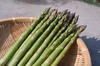 【贈答用】那須野が原産 朝採りおかわりアスパラガス　