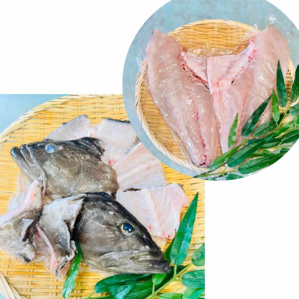 （お歳暮ギフト可）神経締め鮮魚　クエ三枚下ろし（半身）