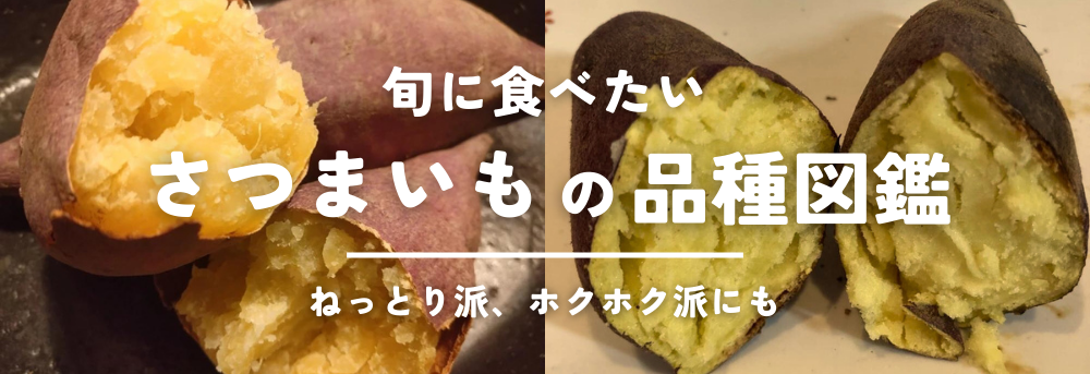 殿堂 農家応援企画】熟成紅はるか きんとん 加工用 規格外 おやつ 芋 野菜