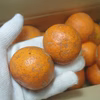 【農薬不使用】無農薬有田みかん　小玉１kg