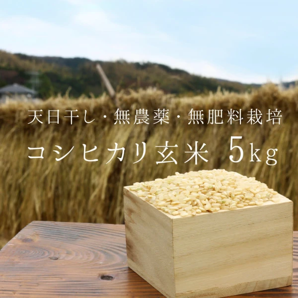 【無農薬・無肥料　生命力溢れる】コシヒカリ玄米5kg