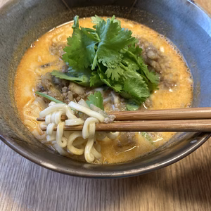 送料無料‼️パクチー500g【栽培中　農薬・化学肥料不使用】