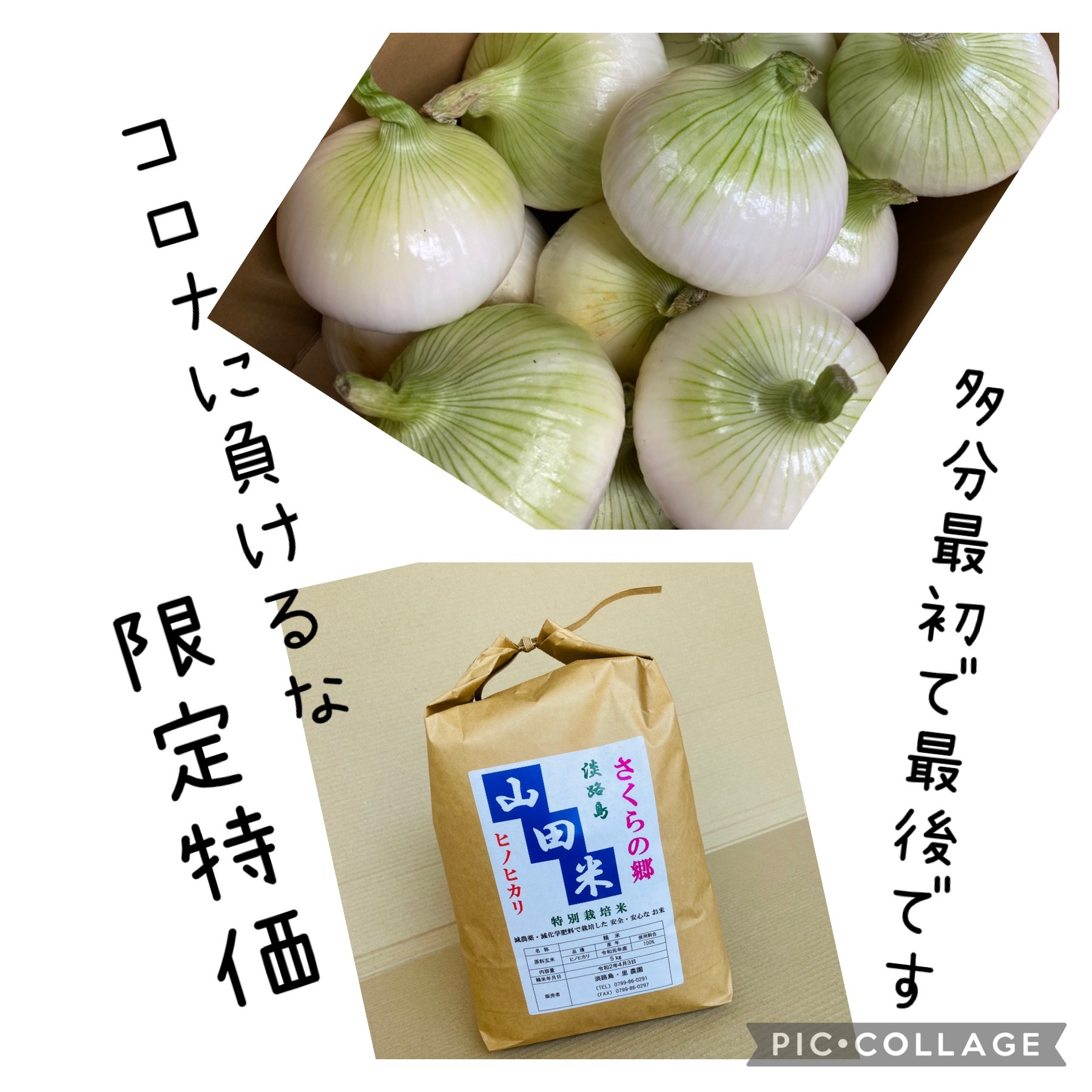 コロナに負けるな Sale 淡路島産 ヒノヒカリ5kg 訳あり淡路島産新玉ねぎ 農家漁師から産地直送の通販 ポケットマルシェ