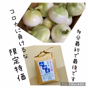 コロナに負けるな!!sale 淡路島産 ヒノヒカリ5kg 訳あり淡路島産新玉ねぎ