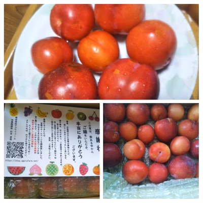 みんなの投稿の画像