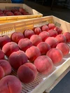 【60品種の桃を作る桃農家】贅沢2種詰め合わせ　2,2㎏（４－８玉）