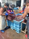 瞬〆すずき（冷凍フィーレ半身1枚入）