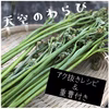 山へ行った日しか売りません [天然ワラビ]