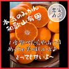 「ちょっといいやつ♪自分へのご褒美 贈り物にも」本気みかん 有田みかん ミカン