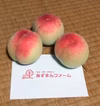 あらかわの桃 (早生の白鳳) ☆小玉・家庭用☆