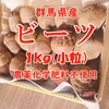 【群馬県産】ビーツ １kg以上（小粒）【農薬化学肥料不使用】