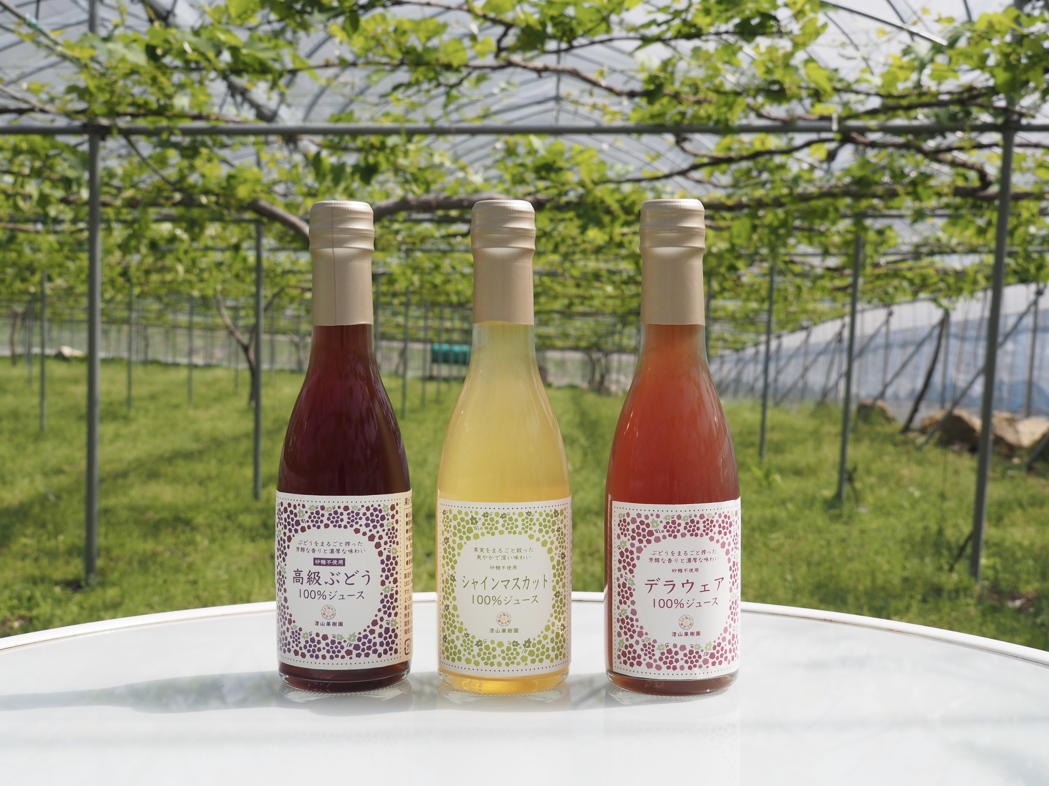 ギフトや手土産に】果汁100％ぶどうストレートジュース3種3本セット