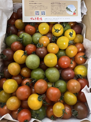 みんなの投稿の画像