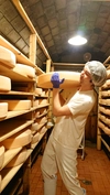 直径約60センチの大型のチーズ「レラ･へ･ミンタル」北海道よりお届けします！