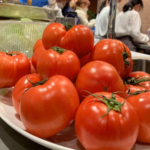 OH!  BIG!!  TOMATO