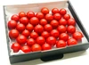 【数量限定】平均糖度8度以上！珠玉のフルーツトマト（1.4kg）
