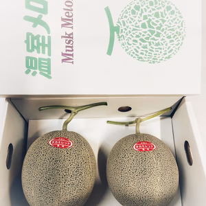 大玉！！とろける甘さ、赤肉メロン！！【2玉入】