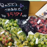 4代目の嫁 | 加市農園