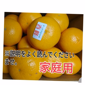 ビッグセール❢（家庭用）!プチプチ食感がたまらない！爽やかな甘み！【春峰】