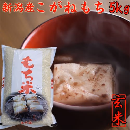 こがねもち5kg(玄米)もち米　新米　　令和二年産