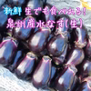 生でも食べれる！泉州産水なす(生)