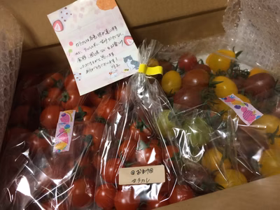 みんなの投稿の画像