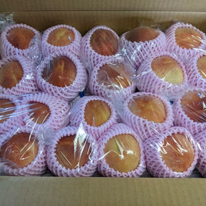 桃　グループでシェア5kg